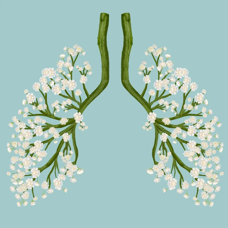 urządzenie, mikroskop